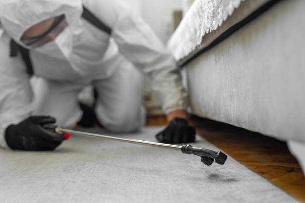 Professional Cockroach Control technician working in St. James, MD