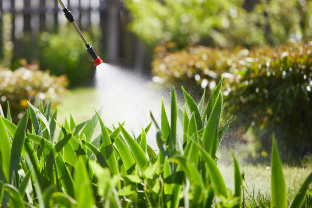 24/7 Emergency Cockroach Control experts in St. James, MD