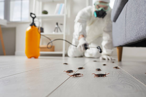 Affordable Cockroach Control solutions in St. James, MD